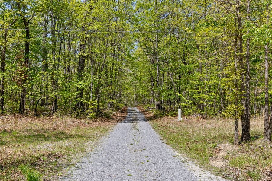 A wooded road through the property
