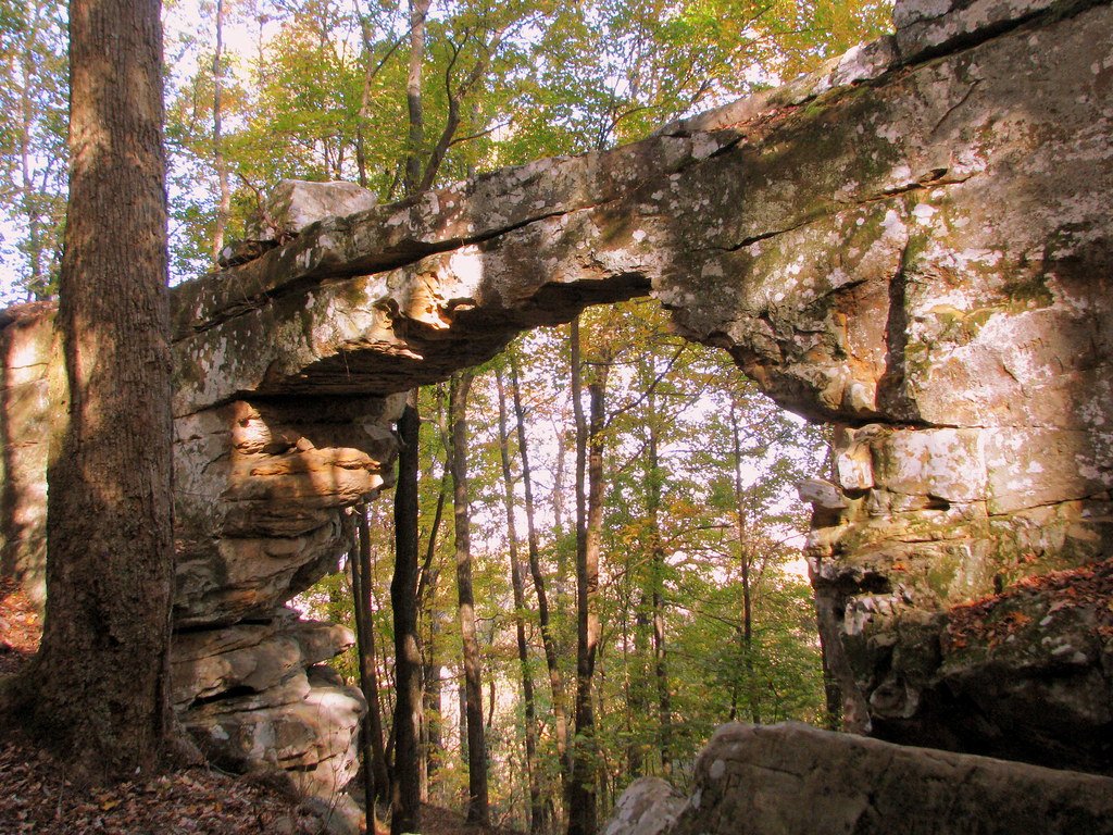 A natural rock bridge on the Cumberland Plateau